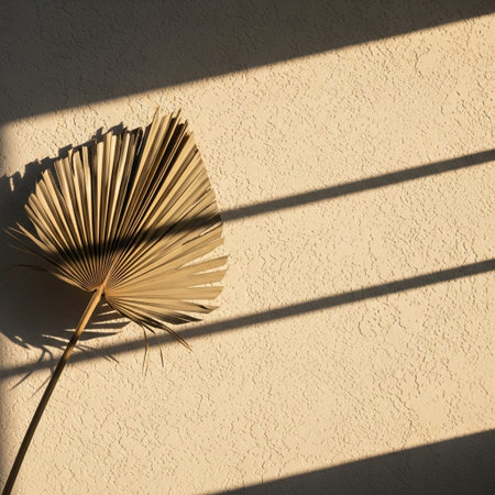 Palm leaf shadow on white wall. Sunlight and shadows.の素材