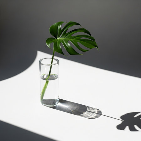 Tropical monstera leaf in glass vase on white background with shadowの素材