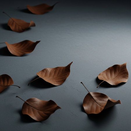 Autumn leaves on dark background. Autumn concept. Flat lay, top view.の素材