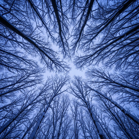 Trees in the winter forest. Blue toned. Abstract background.の素材