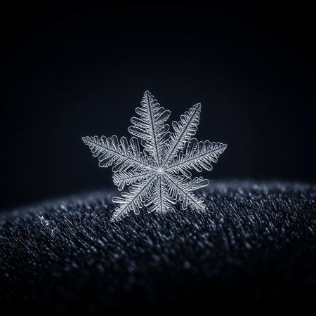 Snowflake on a dark background. 3d rendering, 3d illustration.の素材