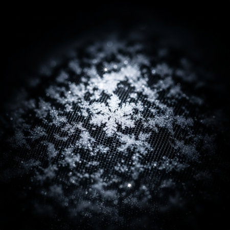 Snowflakes on a black background. Winter background. Snowflakes.の素材