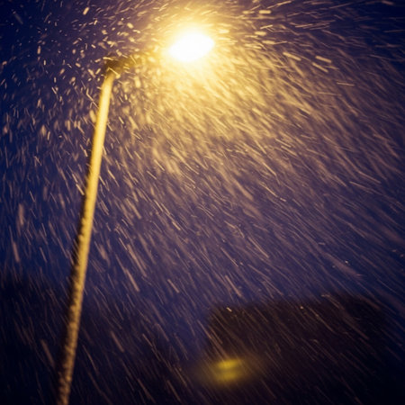 Street lamp under the snow in the city at night. Blurred background.の素材