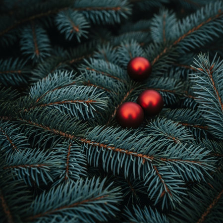 Christmas tree branches with red balls on a dark background. Toned.の素材