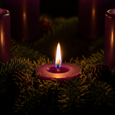 Christmas candles with fir tree branches and pine cones on black background.の素材