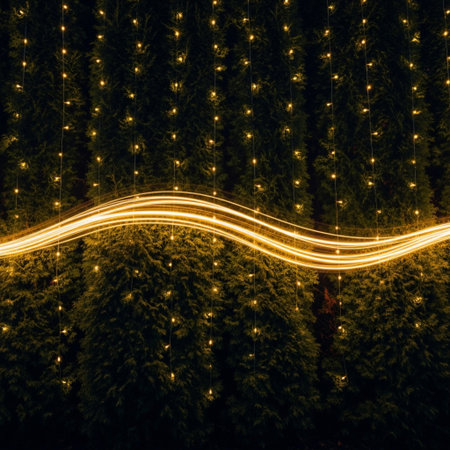 Christmas lights on a dark background. Long exposure photo with long exposure.の素材