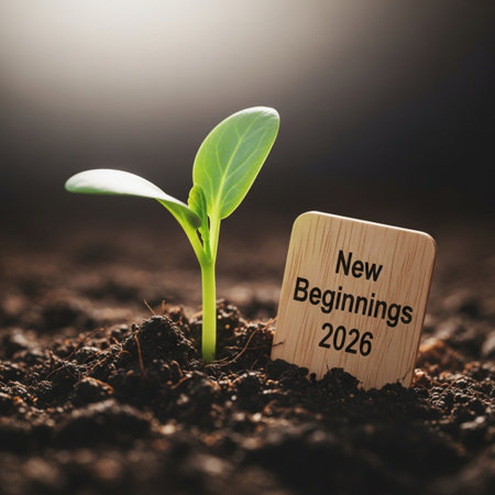 New year concept with green seedling growing out of soil with textの素材