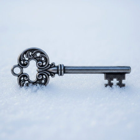 Key in the snow. Conceptual image for security, safety, protection.の素材
