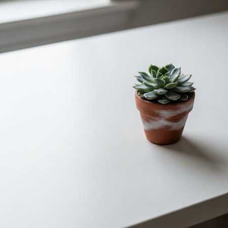 Succulent plant in a pot on a white table near the windowの素材