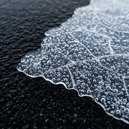 Close up of frozen leaf with water drops on black stone background.の素材