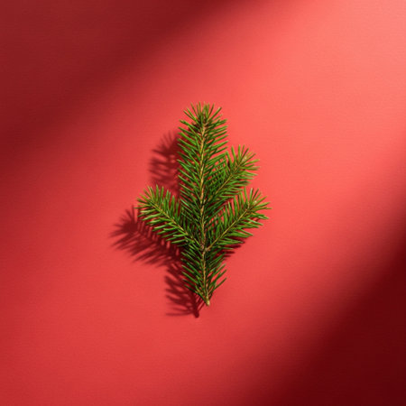 Spruce branch on red background. Minimal christmas concept.の素材