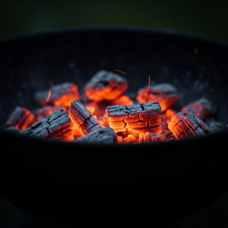 Burning coals in a campfire. Selective focus.の素材
