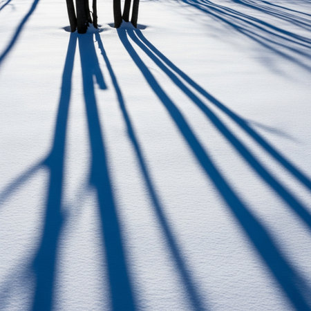 Shadow of trees on the snow in winter, closeup of photoの素材