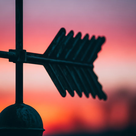 A closeup of a wind vane with a sunset in the backgroundの素材