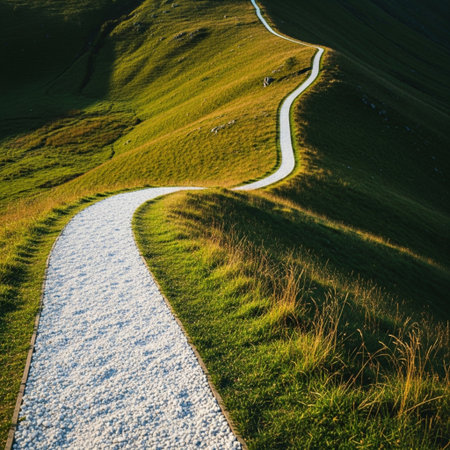 Aerial view of a path in the Carpathian mountains.の素材
