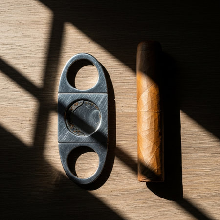 Silver cigar cutter and luxury cigar in a harsh, cinematic top-down still life composition.の素材