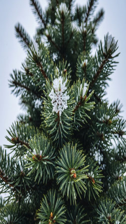 Macro photograph captured with dramatic low-angle perspective, emphasizing the vertical framing of aの素材