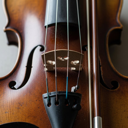 A Hero Detail shot in a square 1:1 format. Tightly framed close-up on the bridge area of an old woodの素材
