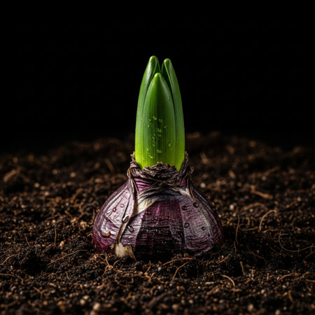 A hero detail close-up (macro shot) focused solely on the moment a single green hyacinth shoot breakの素材
