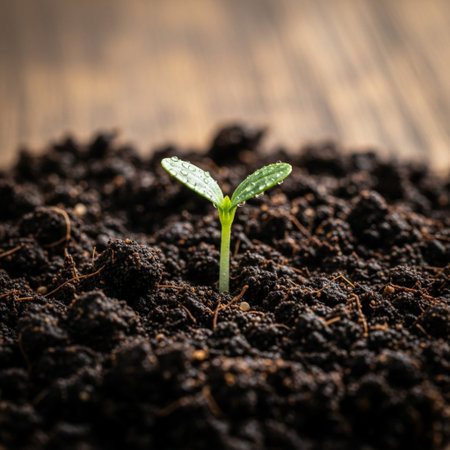 Tightly framed square close-up showcasing the resilience of new life: a solitary, tender green sprouの素材