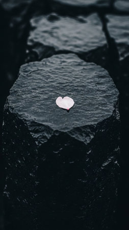 A striking vertical (9:16) composition featuring a single cherry blossom petal placed centrally on aの素材