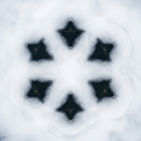 A striking top-down (90-degree Orthophoto) aerial view captured by a drone, showcasing a deep valleyの素材