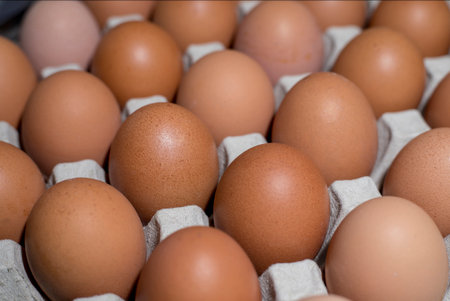 Eggs in an egg cup. Eggs in an egg cupの写真素材
