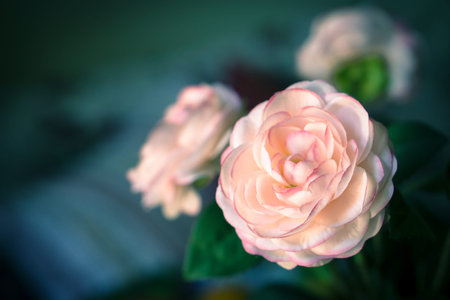 Pink fabric roses, soft and romantic flowers, vintage filter