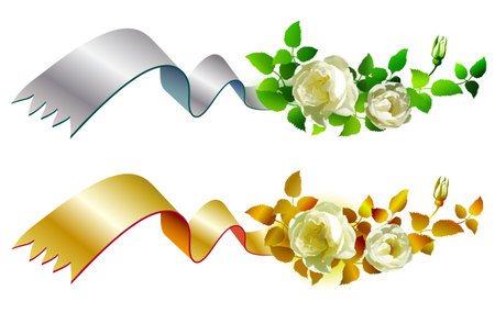 Floral Background, border, ribbon banner, invitation, greeting card with white rosesのイラスト素材