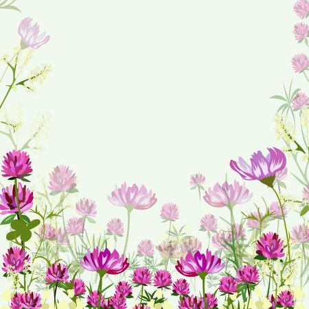 cosmos flowers and clover in the meadowのイラスト素材