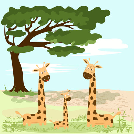 A family of giraffes near a large treeのイラスト素材