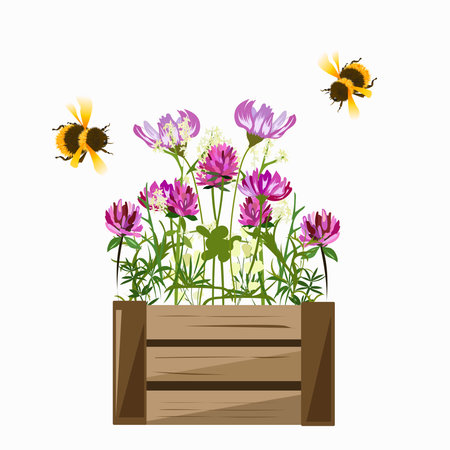 Two bees and a box with clover and cosmos flowers on a white backgroundのイラスト素材