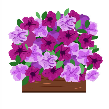 Petunias in the seedling box for planting in the groundのイラスト素材