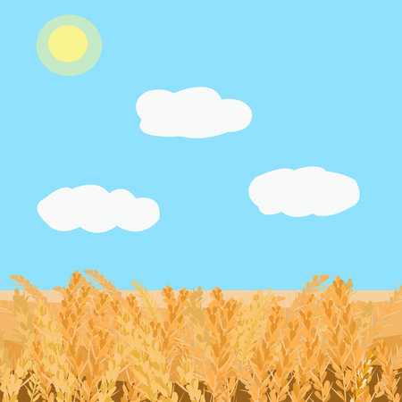 Field with wheat landscape and blue sky with cloudsのイラスト素材