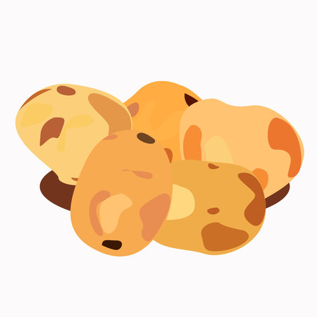 Fresh washed potatoes on a white backgroundのイラスト素材