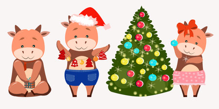 Bulls are small and cute preparing to celebrate Christmas decorate the Christmas tree and pack giftsのイラスト素材
