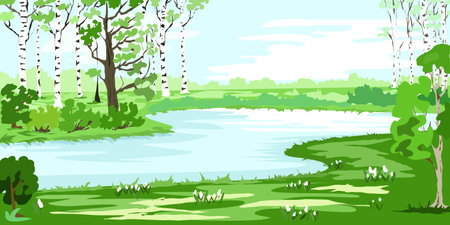 Spring landscape with birch trees and the first flowersのイラスト素材