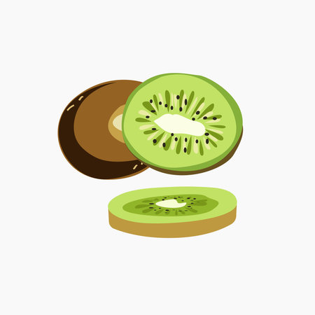Tropical green kiwi berry whole and choppedのイラスト素材