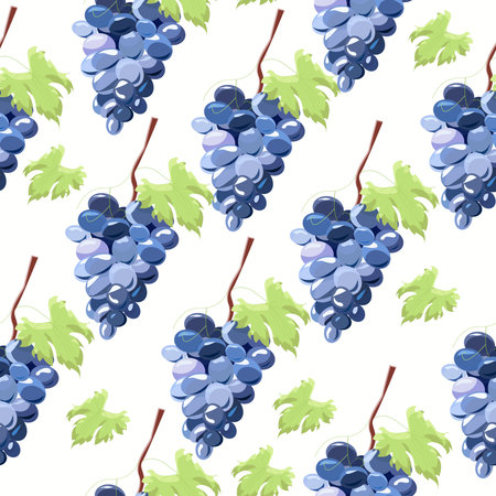 Seamless pattern with dark bunches of grapes on a white background.のイラスト素材
