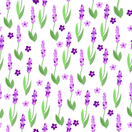 Seamless pattern with sprigs of purple lavender on a white background and small flowersのイラスト素材
