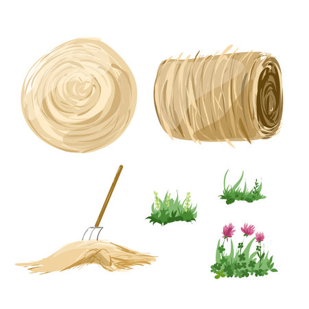 Dry hay and green grass for pets. Isolated elements on a white backgroundのイラスト素材