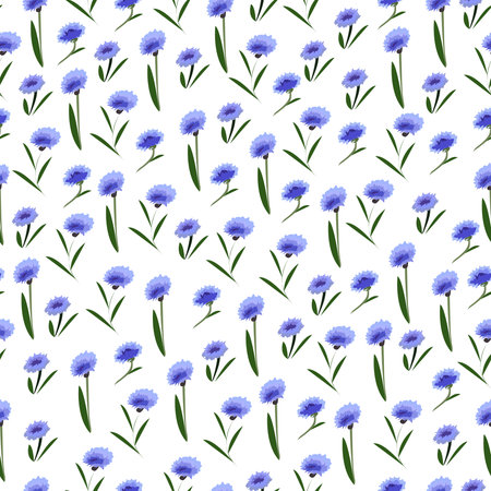 Seamless pattern with blue cornflowers on a white background.のイラスト素材