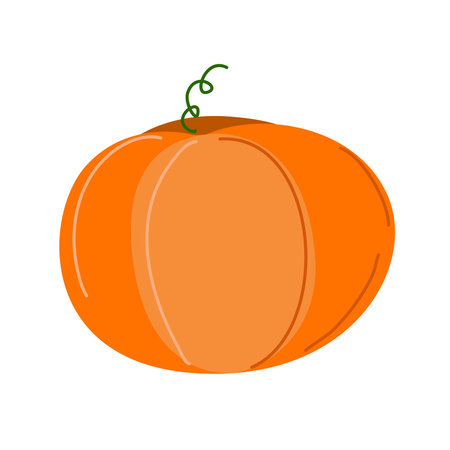 Orange and ripe pumpkin on a white background.の写真素材