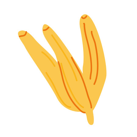 A branch of bananas on a white background in the style of a doodle. An isolated element.のイラスト素材
