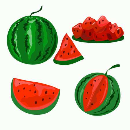 A set of assorted whole and sliced watermelons. Isolated elements on a white background.のイラスト素材