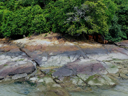 Conservation at Chek Jawa or Chek Java is on Pulau Ubin Island of Singapore.  A boardwalk has been built in Chek Jawa to allow visitors access even at high tide.の写真素材