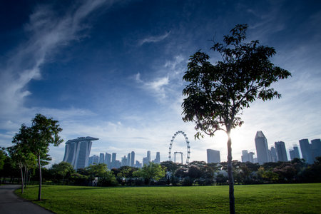Tree Silhouette with Singapore Skylineのeditorial素材