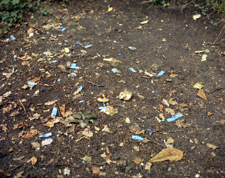 close up of ground covered with dead leaves and blue pieces of trashの写真素材