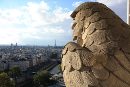 gargoyleの写真素材