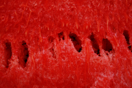 watermelonの写真素材